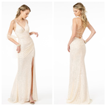 Champagne wishes bodycon gown